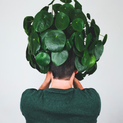 Plants Store Gallery Img 3 2